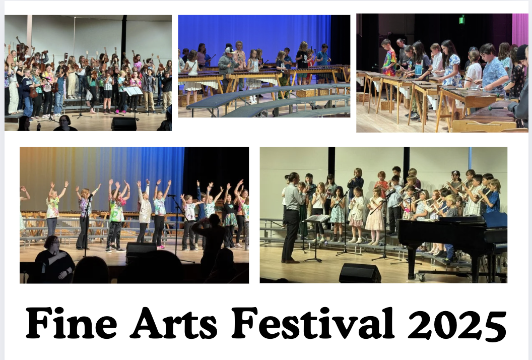 Fine Arts Festival